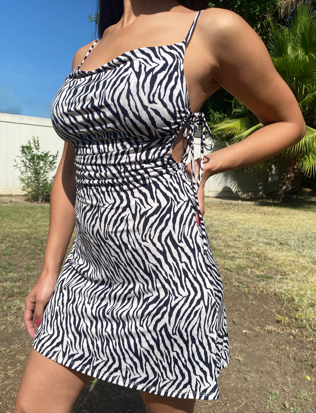 Zebra Print Mini Dress